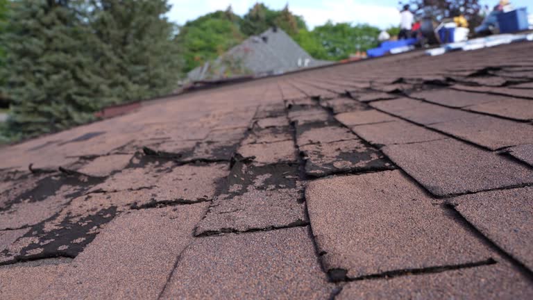 Best Green or Eco-Friendly Roofing Solutions  in Corydon, IN