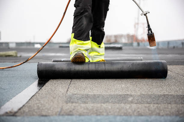 Best Roof Moss and Algae Removal  in Corydon, IN
